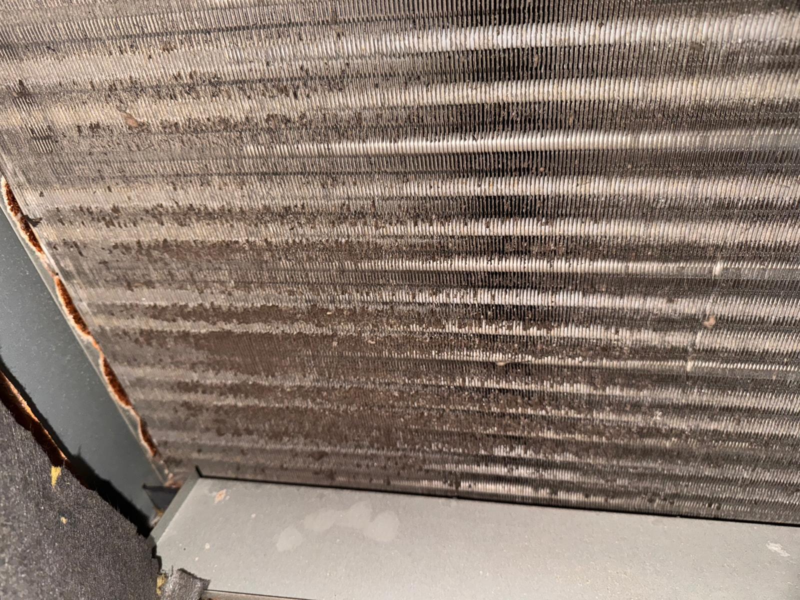 Condenser Coil Cleaning