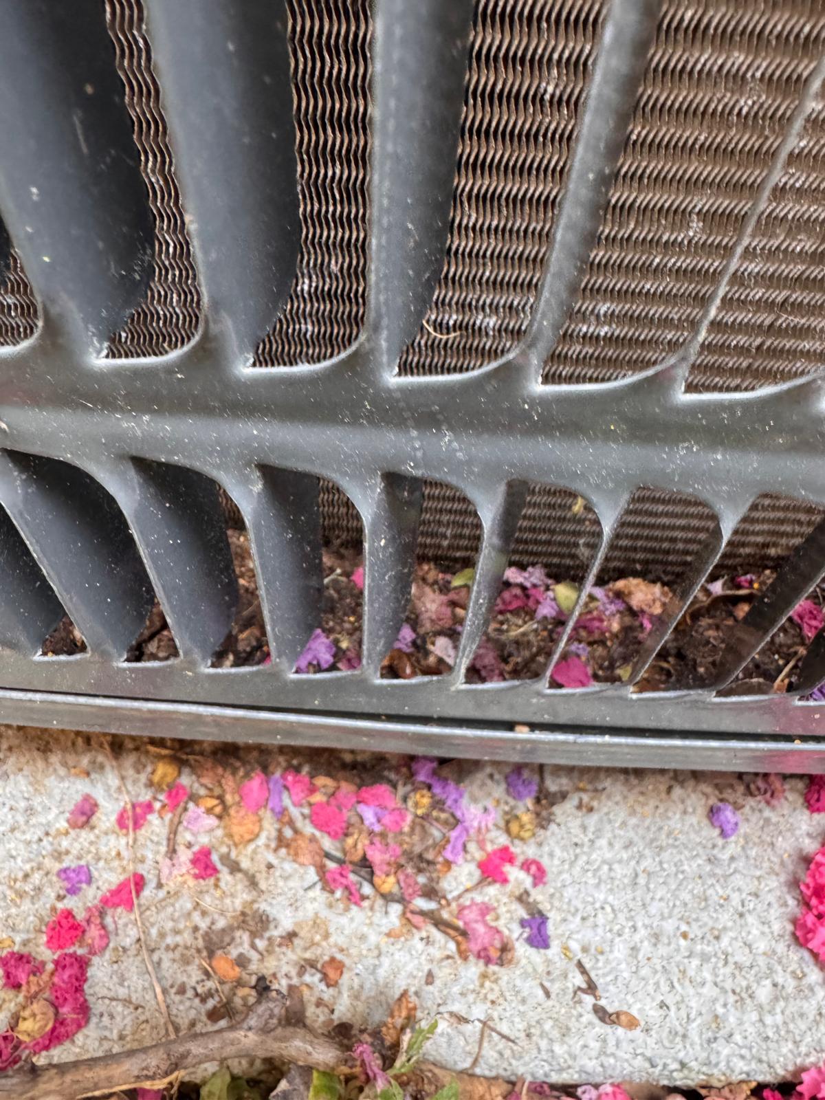 Coil Fan Cleaning